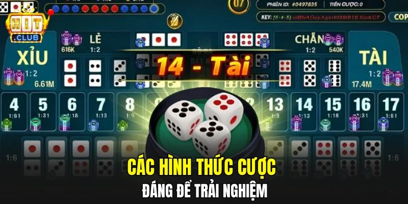 Các hình thức cược đáng để trải nghiệm